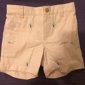 Baby boy Janie and jack shorts